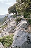 Supramonte di Orgosolo, Monte Tiscali